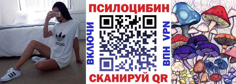 Псилоцибиновые грибы Magic Shrooms  Абаза 